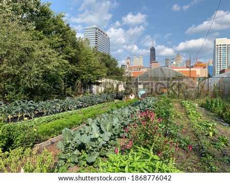 Ode to Chicago. View from the Chicago Lights Urban Farm. Royalty-Free Stock Photo #1868776042