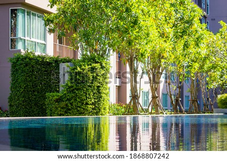 Smooth water surface in a pool or fountain. Reflection of trees on the water surface Royalty-Free Stock Photo #1868807242
