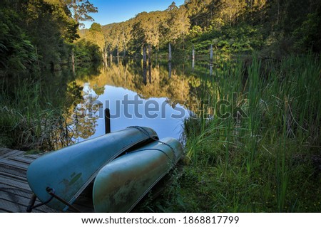 Iconic Australian bush with lake, canoes and drowned tree trunks.
