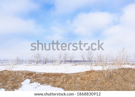 Frost on the branches of trees. Steppe in winter. Frost texture. Trees and plants in winter frost. Snow on the ground. White snowflakes on the branches. Frost on the ground. Clouds in the blue sky
