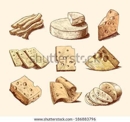 Cheddar parmesan and smoked cheese slices chunks and blocks assortment doodle food icons set vector illustration