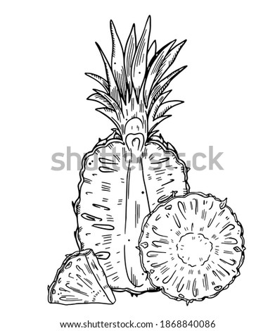 Composition of a whole pineapple and a half cut of fruit. Black outline image on a white background. Doodle style.