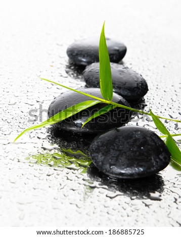 Black stones, and a sprig of green bamboo with wet