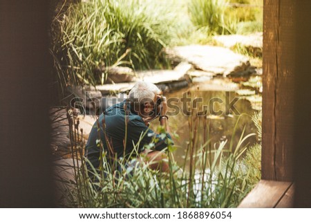 Elderly man taking pictures of water as a hobby. Leisure in old age. Relaxing at home in the garden alone.