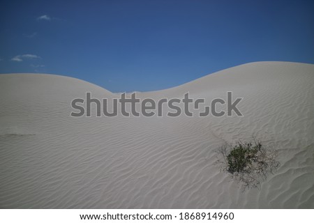 Stunning sand dunes of Yanabie pure white sand showing wind rippled dunes under a clear blue sky