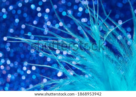 fluff of bird feather on blue glittering background