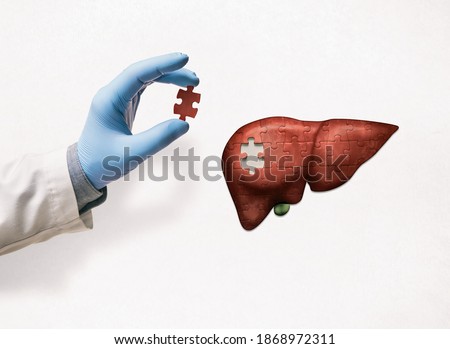 Puzzle with illustration of liver and doctor's hand with the missing piece of puzzle. Liver treatment concept. Royalty-Free Stock Photo #1868972311