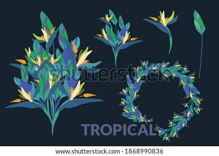 Vector bouquet and clipart of tropical flowers and greenery on black background. Flat botany set for graphic design
