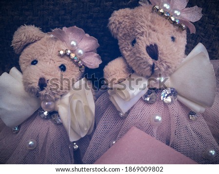Cute baby teddy couple together with stylish dress