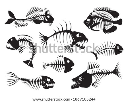 Set of silhouettes fish bones. Collection of marine fish skeleton. Vector illustration of dead fish on white background. Sea inhabitants. Tattoo.