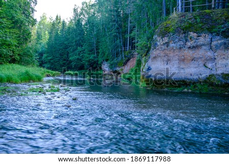 sandstone cliffs on the river Amata in Latvia summer water stream with high level and green foliage