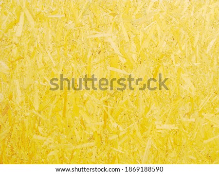 Chipboard, pressed shavings, wood background
Chipboard. Wooden panel made of pressed shavings as background. Texture of material closeup. Yellow backdrop.