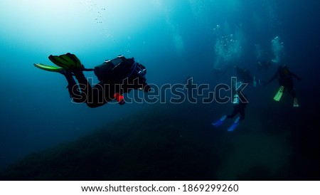 Underwater photography in the Islas Hormigas Marine Reserve in Cabo de Palos, Murcia (Spain)