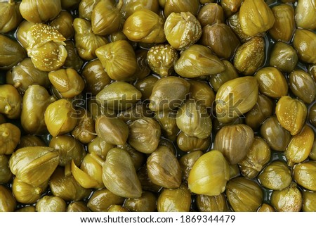Pickled capers as a background. Marinated buds of caper bush. Mediterranean cuisine ingredient. Organic spices and seasonings for meat, fish and vegetables. Full frame macro shot. Top view. Royalty-Free Stock Photo #1869344479