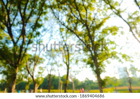Abstrct blurred green tree leaf in park sunshine day nature environmental