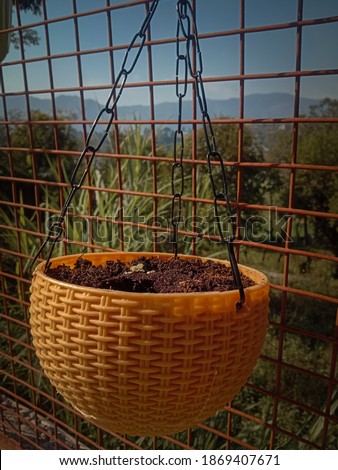 picture of hanging flower pot full with special combination of soil.