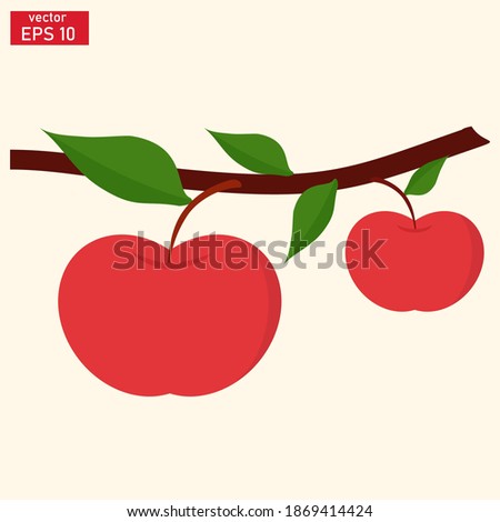 
vector illustration of apple fruit in flat style. fresh fruit theme. fruit and vitamins