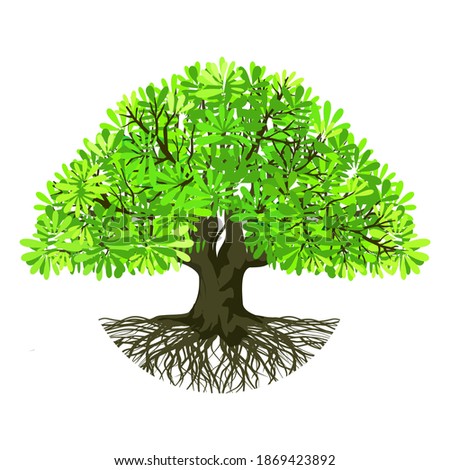 Tree and shady roots on white background, vector illustration