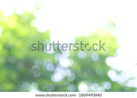 Fresh natural​ healthy lush​ green bokeh​ background with abstract blurred​ tree​ branch and bright sunlight on​ sunny​ day​ with​ a central copyspace for text​ and​ advertisement