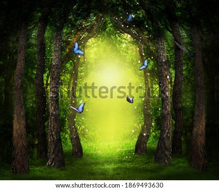 Fantasy world. Enchanted forest with magic lights, beautiful butterflies and way between trees Royalty-Free Stock Photo #1869493630
