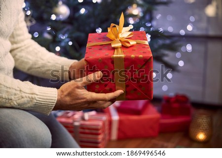 Focused image of red present box in man hands isolated on Christmas tree in room indoors