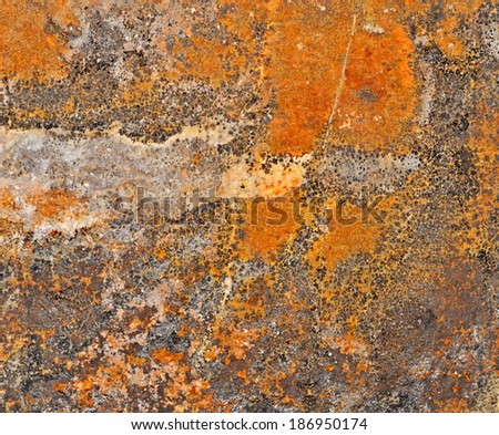 background or texture orange stone with cheetah pattern
