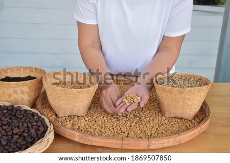 The coffee farmer is selecting, testing and showing the quality of coffee beans which kept in the basket on the table. Coffee crops are new economic plants in the local part of northern Thailand.