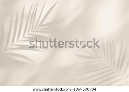 Light shadows of tropical palm leaves on concrete wall background. Soft abstract backdrop.
