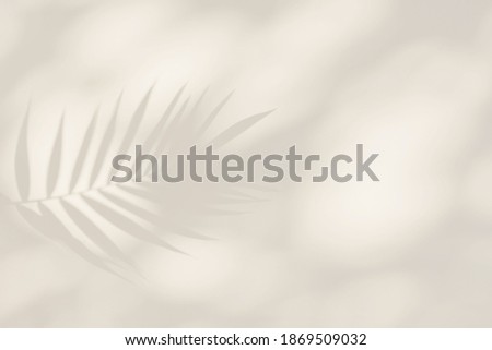 Soft light shadows of tropical leaves and foliage background. Abstract concept backdrop  Royalty-Free Stock Photo #1869509032