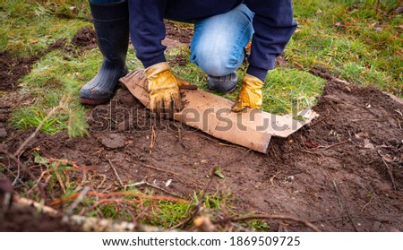 Person rolling the soil on cardboard to add to the Hügelkultur gardening bed Royalty-Free Stock Photo #1869509725