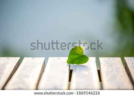 Heart shaped pictures and sunshine backgrounds On a white bench It's a warm time every day.