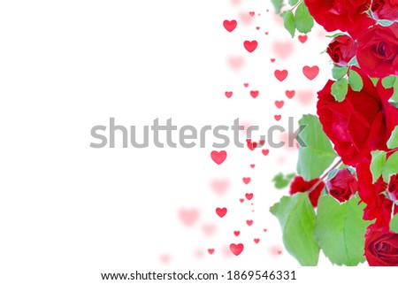 Red roses on a white background with hearts. Mother's day, valentine's day, birthday celebration concept. Card. Copy space for text