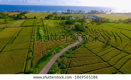 Wonderful Rice Terraces shot from the height using dron at Jatiluwih Bali Indonesia