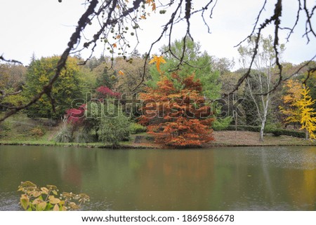 Forest and lake during autumn season with colors