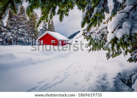 Christmas background. Landscape photography. Red wooden house in Norway. Picturesque winter scene of Lofoten islands. Beautiful winter scenery.
