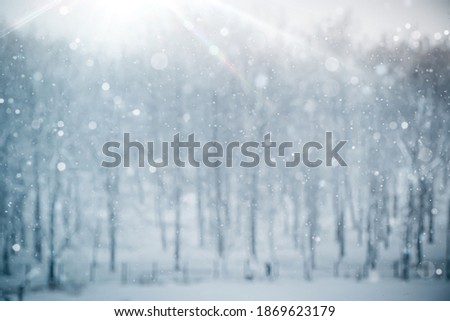 Snowflakes falling on the background blurred winter landscape. Defocus blue lights.