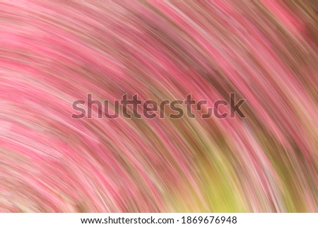 Artsy swirl motion blurred pink flowers.