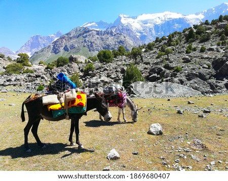 Unforgettable journey through the Fann Mountains in Tajikistan.Lakes, Mountains, Snow.July 2019
