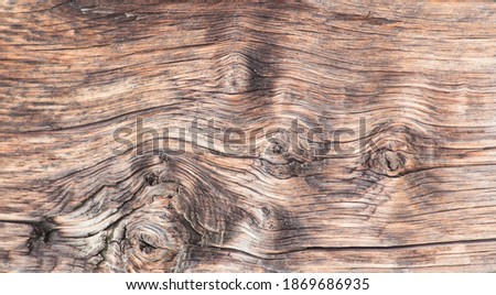 A natural wood plank with knots. background for rustic motif, food and beverages