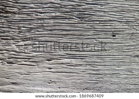 A natural wood plank with very marked veins.
