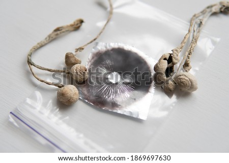 Grow Psilocybin mushroom . Psychedelic microdosing. Dry Psilocybe cubensis. Spore print. Royalty-Free Stock Photo #1869697630