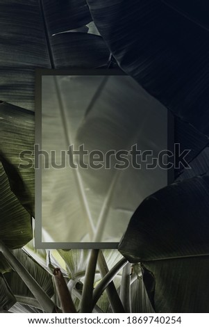 Photo frame with natural green banana leaves in dark background.Tropical leaves forest wallpaper.