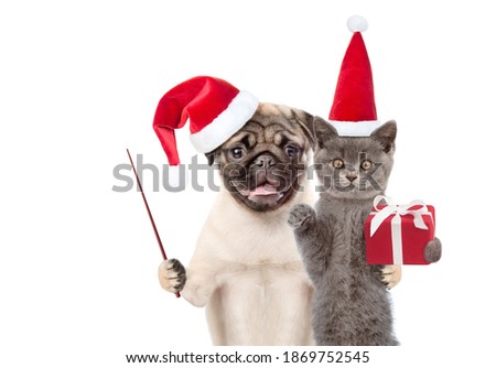 Funny puppy and kitten wearing red christmas hats with gift box and pointing stick. isolated on white background