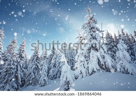 Amazing winter background. Beautiful winter landscape with snow-cowered trees. Awesome frosty forest. Wonderful Christmas Scene.  Design new year celebration. Winter holiday concept. Postcard.