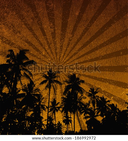 Vector illustration of palm trees
