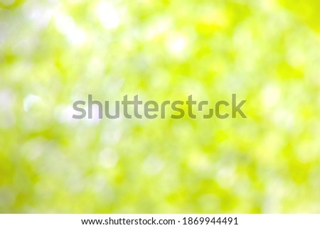 Nature abstract background images, abstract blur and yellow bokeh background for design.