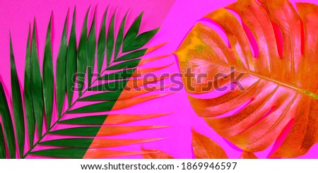 Dazzling beauty. Summer tropical exotic leaves isolated on bright background. Design for invitation cards, flyers. Abstract design templates for posters, covers, wallpapers with copyspace for text.