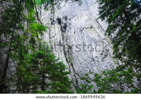 Vertical and steep stone walls in Cheia Gorges - National Park, Carpathia, Romania.