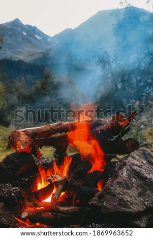 Fire flames on the background of mountains