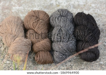 Four skeins of natural Finnsheep wool yarn